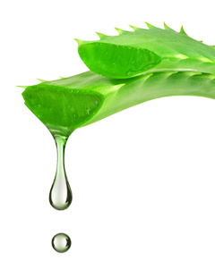 Aloe vera gel has many good properties