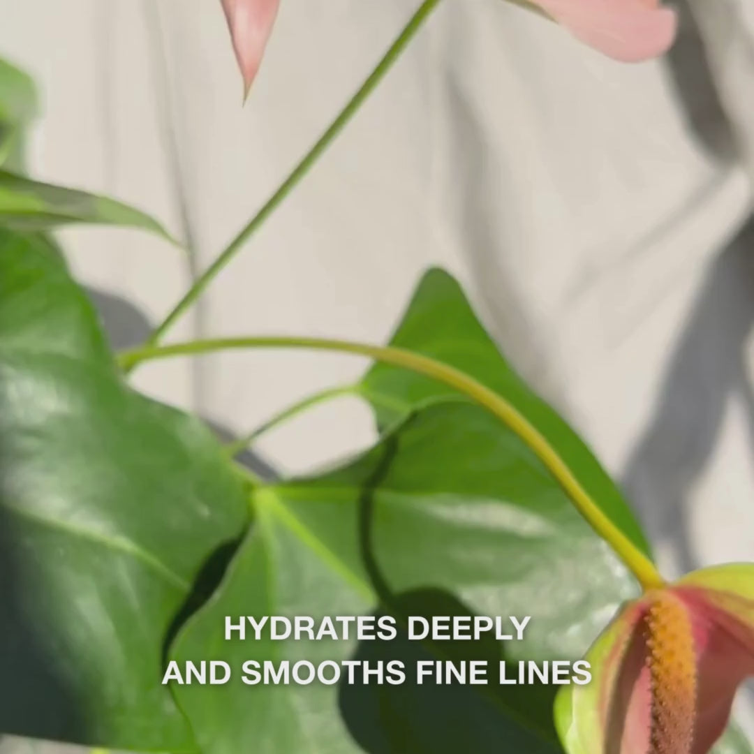 Close‑up of a hand dispensing a few drops of silky, clear face serum from a glass dropper onto fingertips, then gently massaging it into damp facial skin—its lightweight, fast‑absorbing texture instantly hydrates, plumps fine lines, and soothes with Hyaluronic Acid 2%, Vitamin B5, and Tea Tree Oil