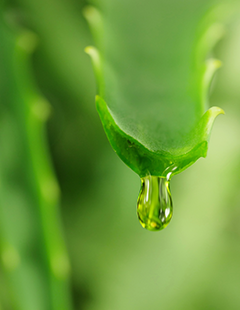 How to use tea tree oil in a diffuser