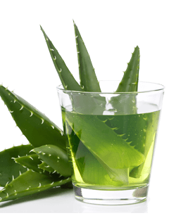 Aloe Vera drink – Good reasons to drink aloe vera