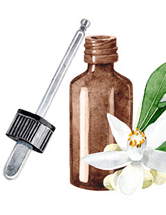 Best anti-fungal oils for infections