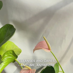 Close-up of a hand unfolding a single soft, moistened facial wet wipe infused with Tea Tree Oil, gently wiping it across the surface of clean skin to remove makeup, oil, and impurities—showcasing its gentle texture and refreshing, soothing effect suitable for sensitive to oily skin.