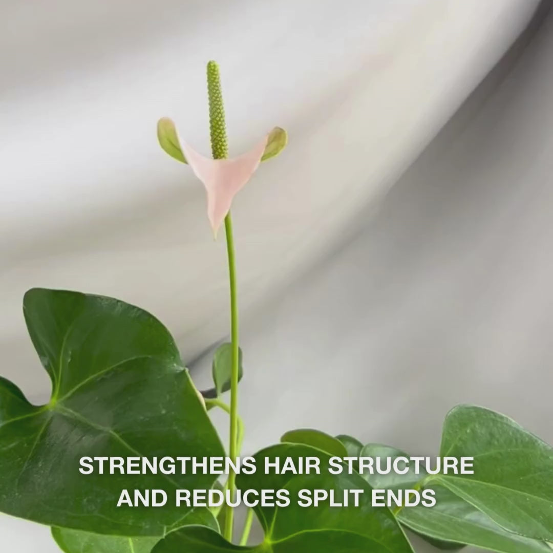 Vitamin B12 Hair Conditioner for damaged hair. Bond-effect rebuilds and strengthens. With Vitamin B12, Panthenol & Elaya Renova™.