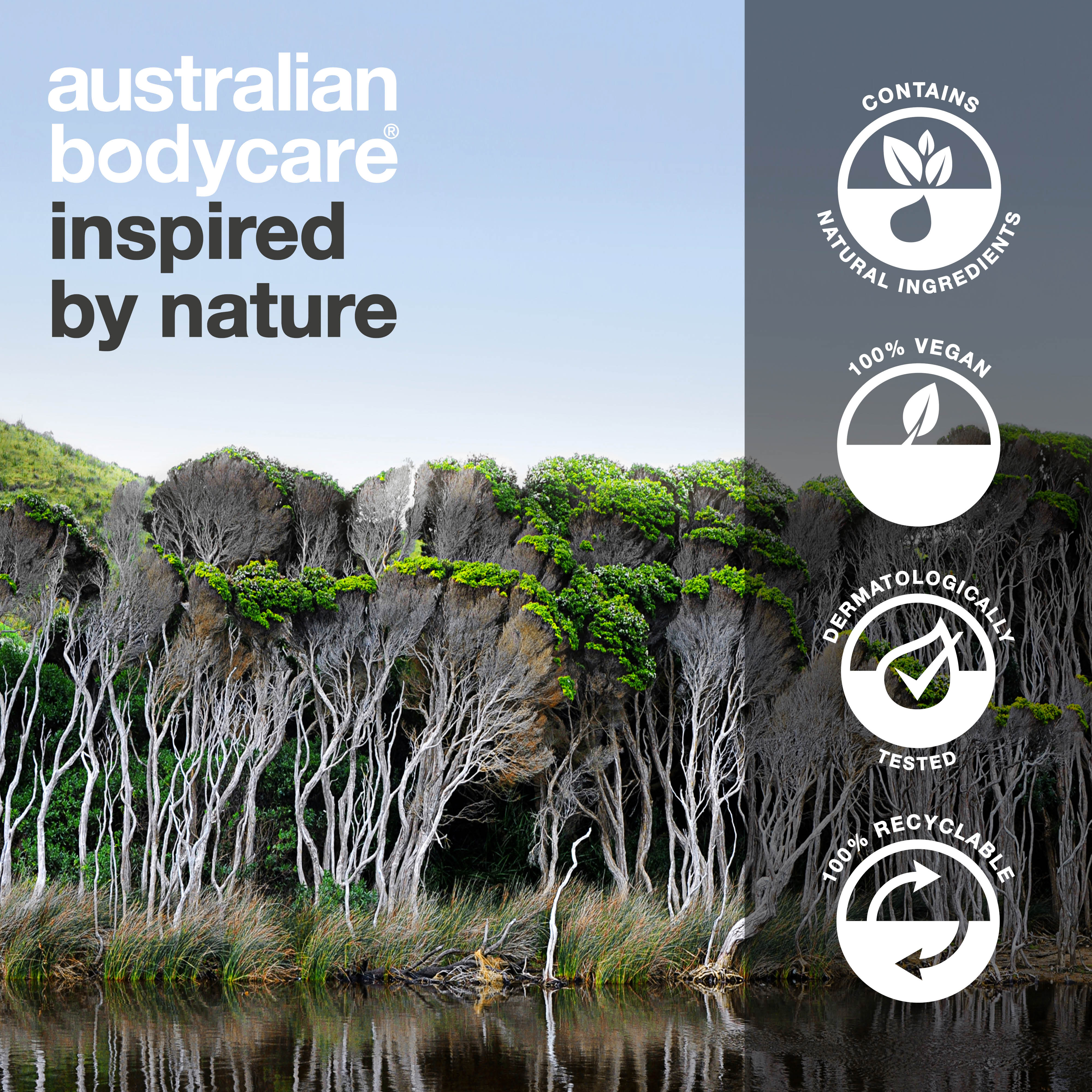 Salicylic Acid Spot Gel for breakouts, blackheads and redness – unclogs pores and calms the skin