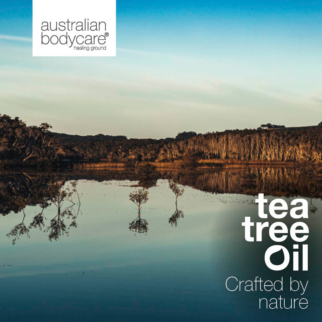 3 x 10ml Lemon Myrtle infused Tea Tree Oil - 3-pack of 100% concentrated Lemon Myrtle infused Tea Tree Oil from Australia